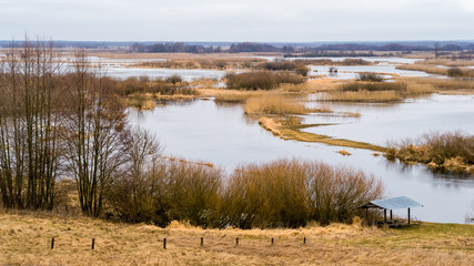 Biebrzański Park Narodowy. Wiosenne rozlewiska Biebrzy