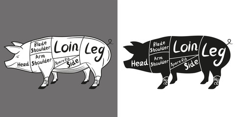 American cuts of pork (US). Pork cutting scheme lettering. Vector illustration.