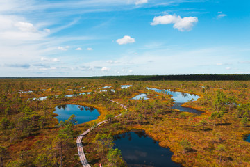 Aerial view of swamp / bog in Kemeri National park with blue reflection lakes, wooden path, green...