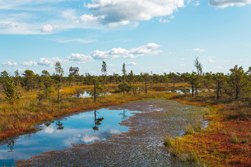 Blue lakes with cloud reflection and green vegetation during a hike in the bog of Kemeri National...