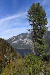 hallstatt alpine landscape