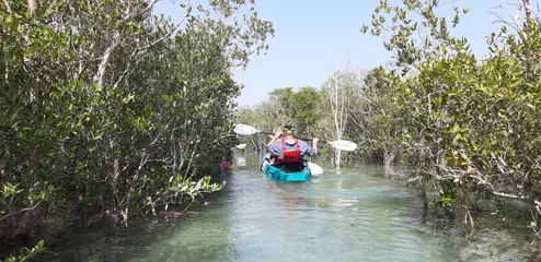 Badkamer foto achterwand Peddelen in het mangrovepark in Abu Dhabi © Janet Worg