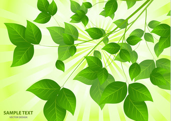 Forest background with sunlight coming through the green leaves. Green background with fresh spring foliage, sparkles and sunbeams. Young leaves in the rays of spring dawn. Close-up. - Vector graphics