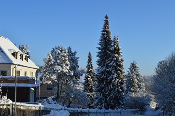 Winterschönheit in der Stadt