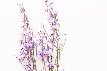 Obraz premium Flowers composition. Pink flowers on pink background. Easter, spring concept. Greeting card.