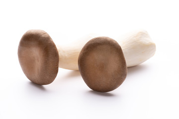 King oyster mushroom on white background.