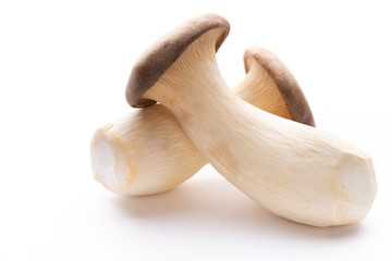 King oyster mushroom on white background.