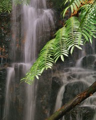 Hawaii water falls