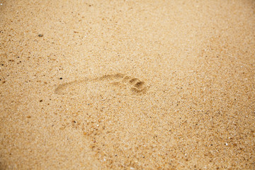 Footprint of bare feet on wet sand.