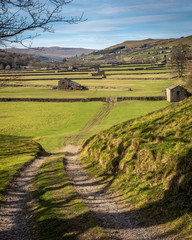 Obraz premium Old Barns in Swaledale