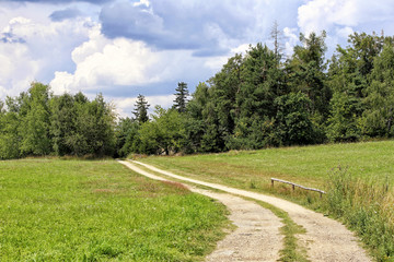 Single path with two tracks in the meadows with cloudy sky in summer