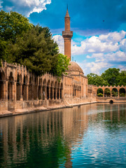 Pool of abraham - Balıklıgöl