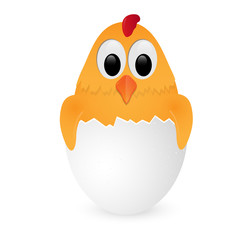 Chicken in egg isolated on white background.Vector illustration.