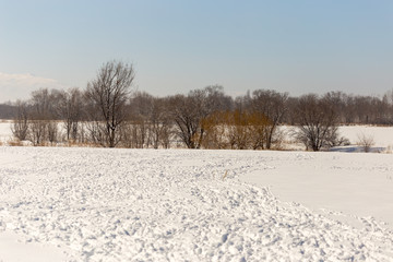 many tracks of flocks of sheep in the snow