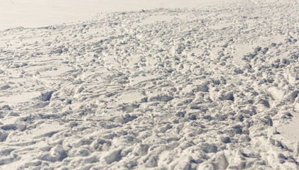 many tracks of flocks of sheep in the snow