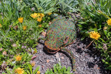 Decorative frog in the garden or flowerbed in the park. Creative gardening.