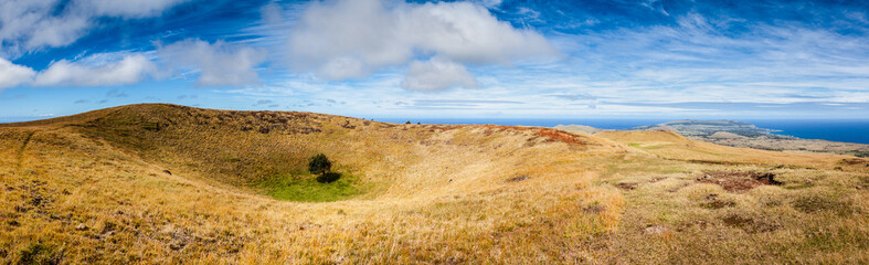 Fototapeta premium A single tree is growing in the middle of an old volcano crater on Easter Island, Chile