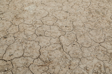 dry cracked earth background texture no water