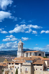 Fototapeta na wymiar Vertical View of Girona Cathedral
