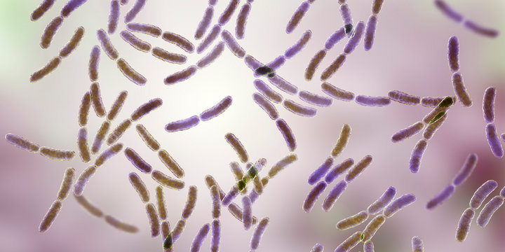 Microben zijn microscopisch kleine organismen, waaronder bacteriën, schimmels, virussen en archaea, die een essentiële rol spelen in ons lichaam.