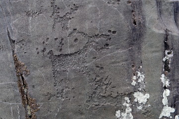  Rock petroglyphs in the tract Kalbak-Tash