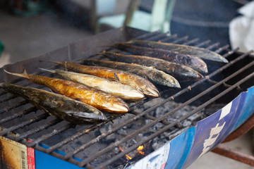 fish on the grill