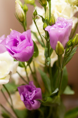 purple and white mini roses
