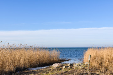 Beautiful day in spring season by the coast