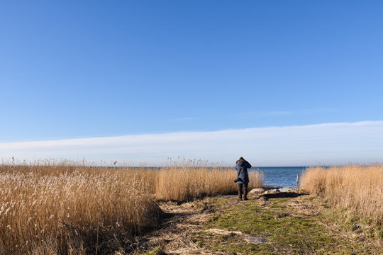 Photographer by the coastal reeds