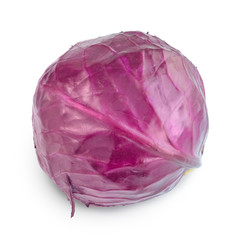 Obraz premium Red cabbage isolated