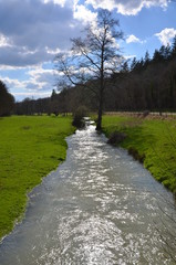 RUISSEAU ET PRAIRIE BOURGOGNE FRANCE