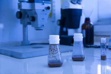 Biology lab research, concept