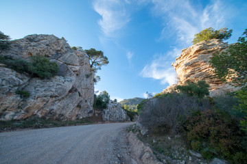 The desert of the palms in benicasim, Costa azahar