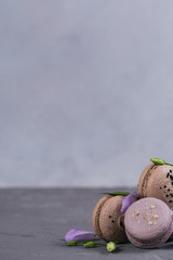 Heap of sweet french macarons mixed with flowers on grey concrete background