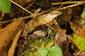 Ciudad Perdida hike in Colombia