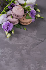 Heap of sweet french macaroons mixed with flowers on grey concrete background