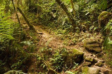 Ciudad Perdida hike in Colombia