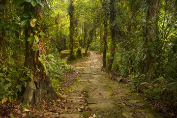 Ciudad Perdida hike in Colombia