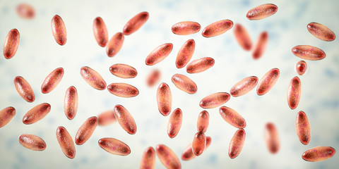 Plague bacteria Yersinia pestis, 3D illustration. Gram-negative bacteria with bipolar staining which cause plague infection