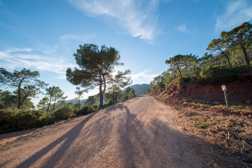 The desert of the palms in benicasim, Costa azahar