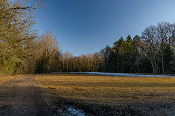 Path and color meadow in winter day near Rozmberk pond in south Bohemia