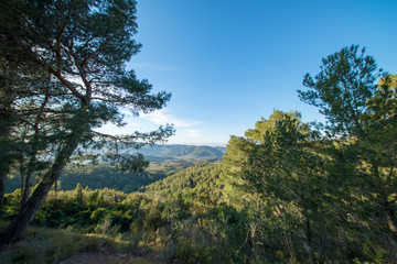 Fototapeta premium The desert of the palms in benicasim, Costa azahar
