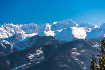 A beautiful view of the Polish Tatra Mountains with trees in the foreground. Sunny, beautiful day in the winter, snow-capped mountains visible trees and blue sky.