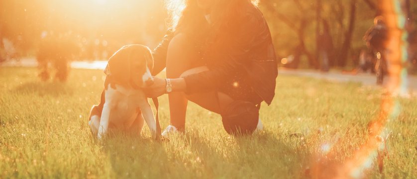 girl with beagle at sunset