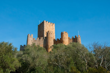 Fototapeta na wymiar Image of Almourol Castle, in Portugal