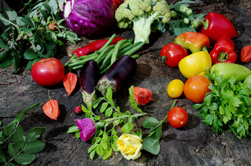 Appetizing vegetables on a natural background. Cabbage, eggplants, tomatoes, peppers, asparagus, parsley.