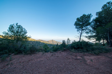 The desert of the palms in benicasim, Costa azahar