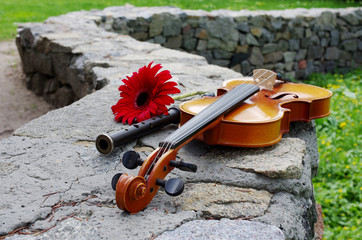   Violin, flute and flower