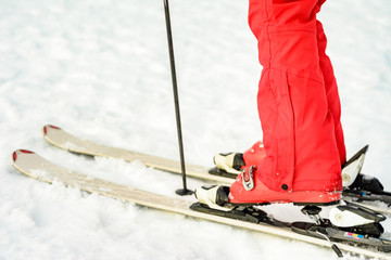 Naklejka premium Close-up of a skier ski skier ski boot on a snow-red color