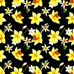 Seamless pattern with narcissus and leaves watercolor illustration on black background